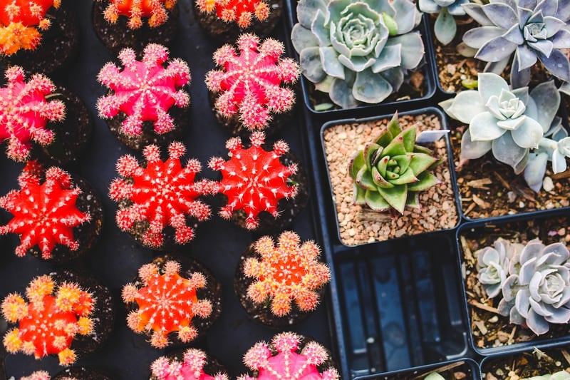 Gardening Services